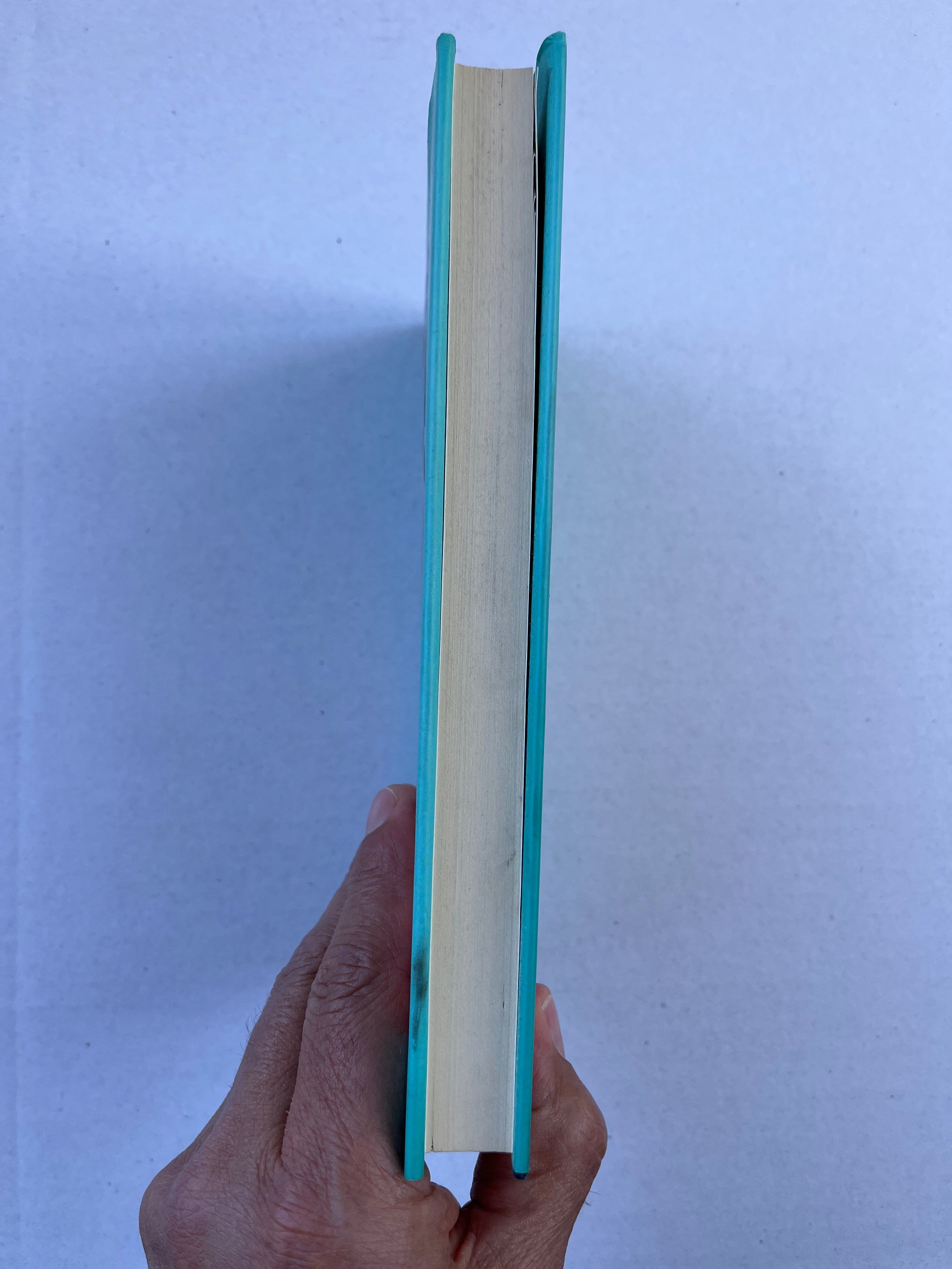 Next Level Basic: The Definitive Basic Bitch Handbook by Stassi Schroeder