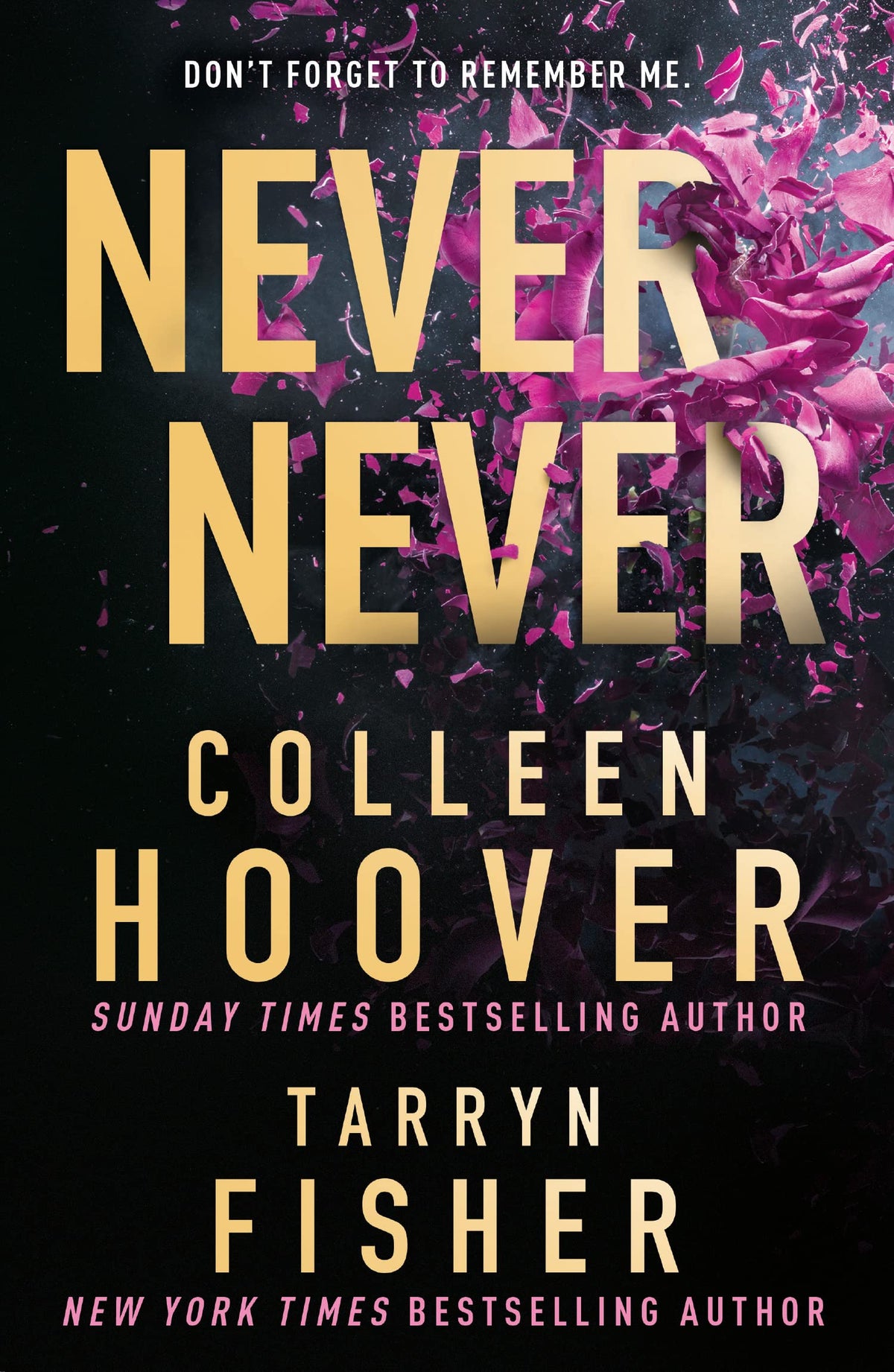 Never Never: TikTok made me buy it! The Sunday Times bestselling dark romance suspense thriller from the BookTok sensation and author of It Ends with Us, perfect for 2026-1