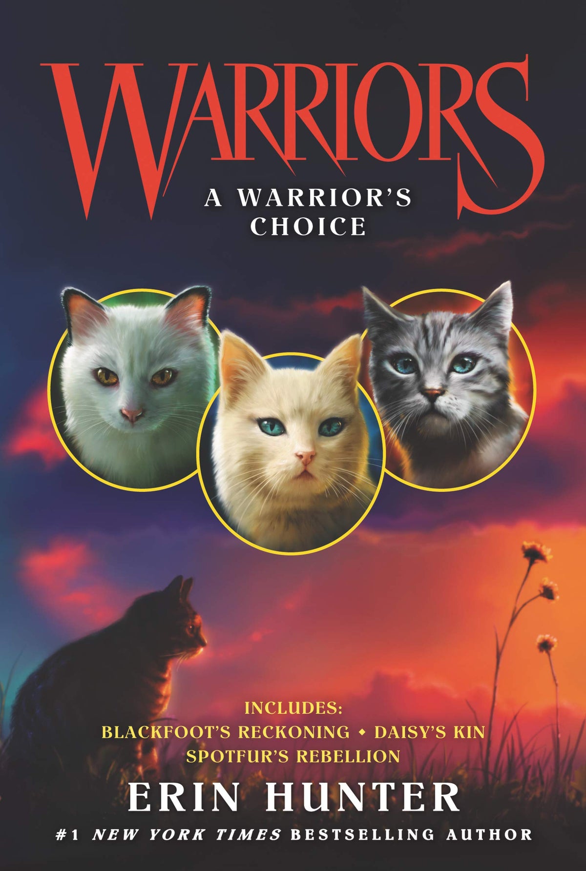 Warriors: A Warrior's Choice-1