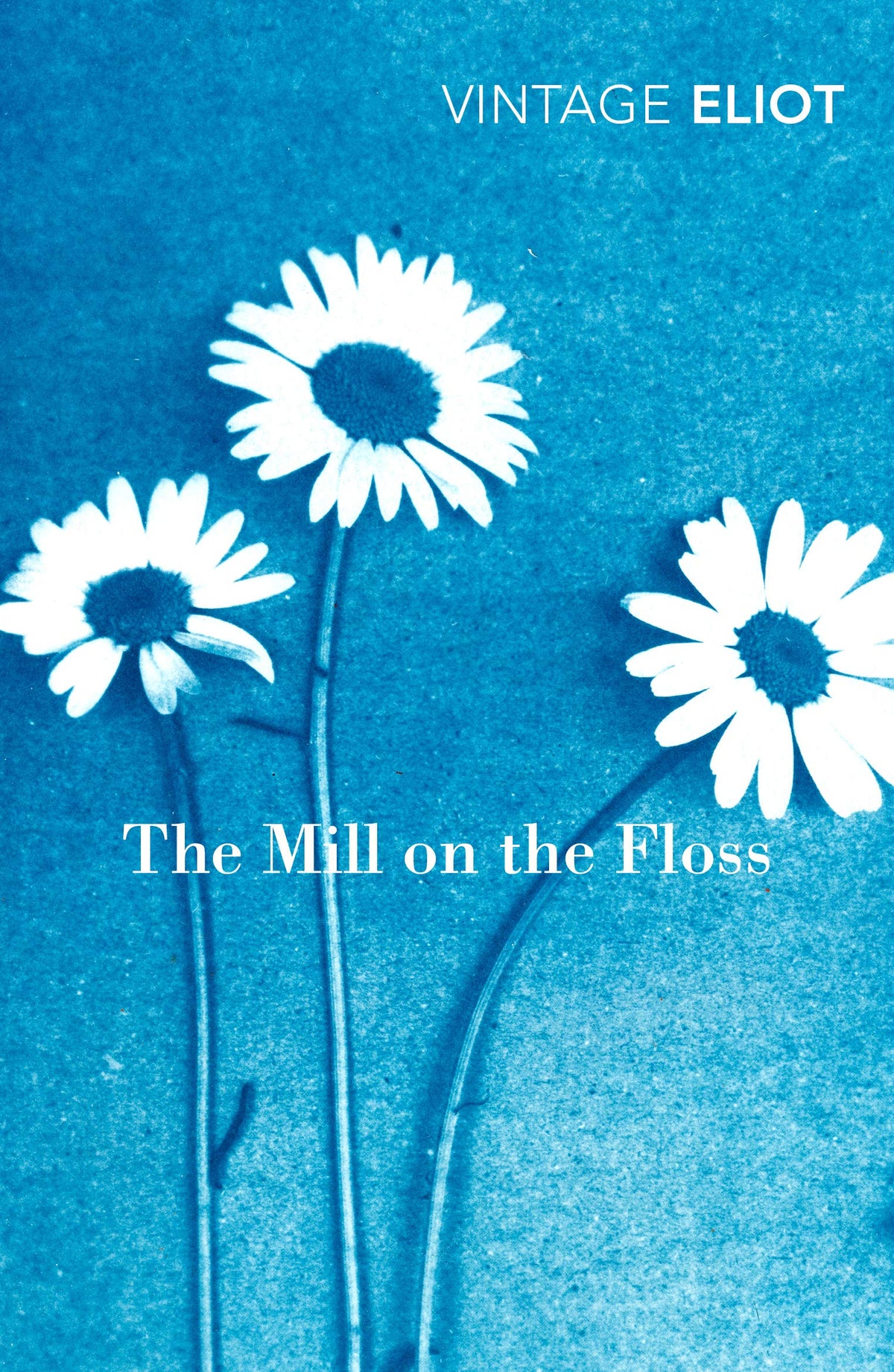 The Mill on the Floss-1