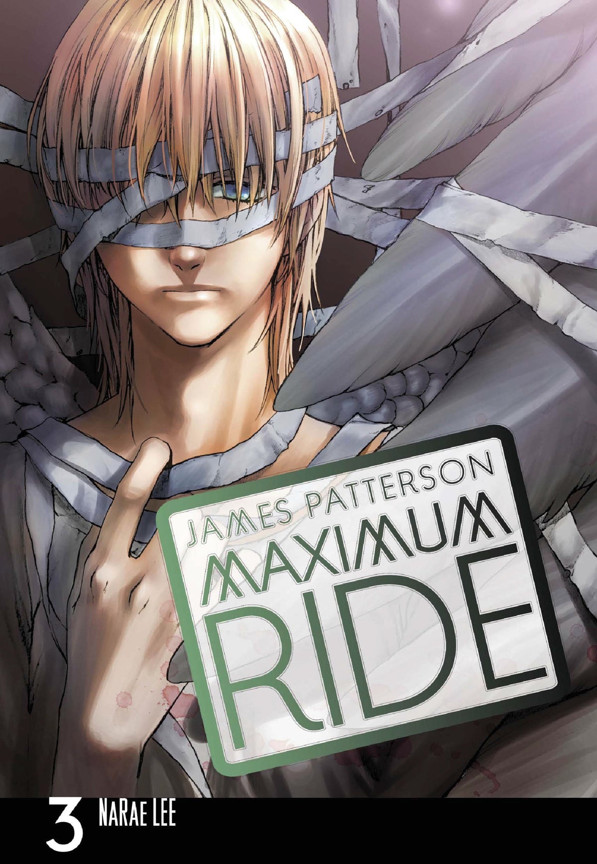 Maximum Ride: Manga Volume 3-1