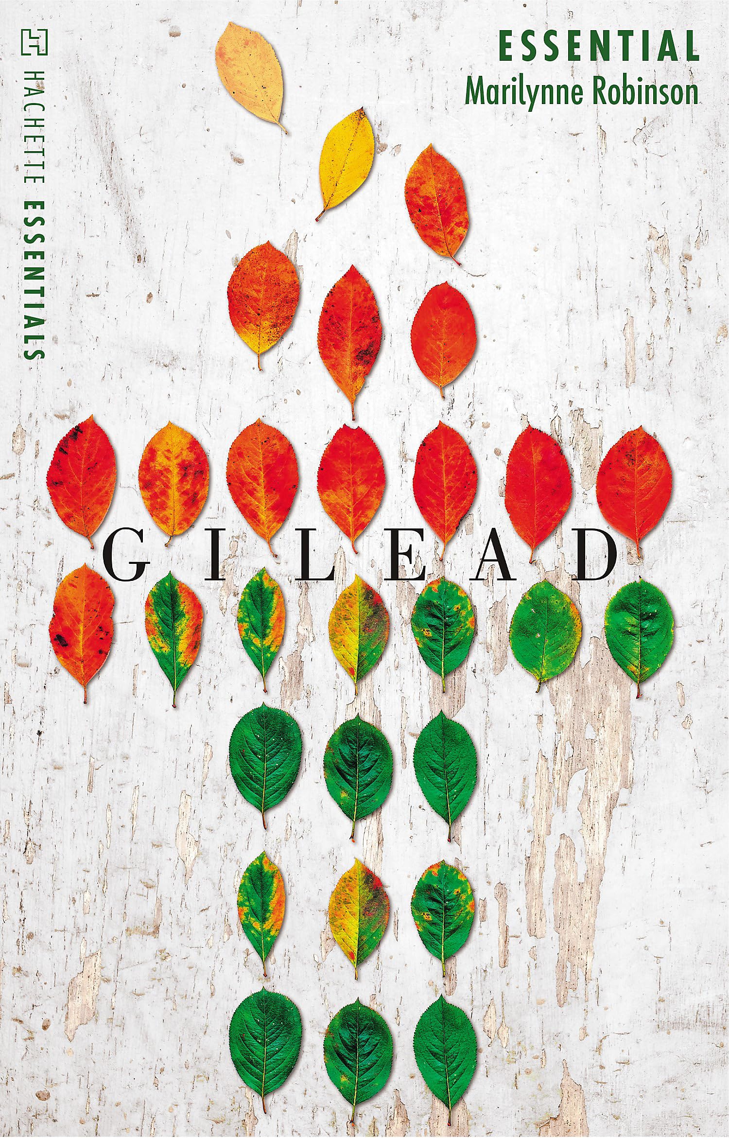 Gilead: An Oprah's Book Club Pick-1