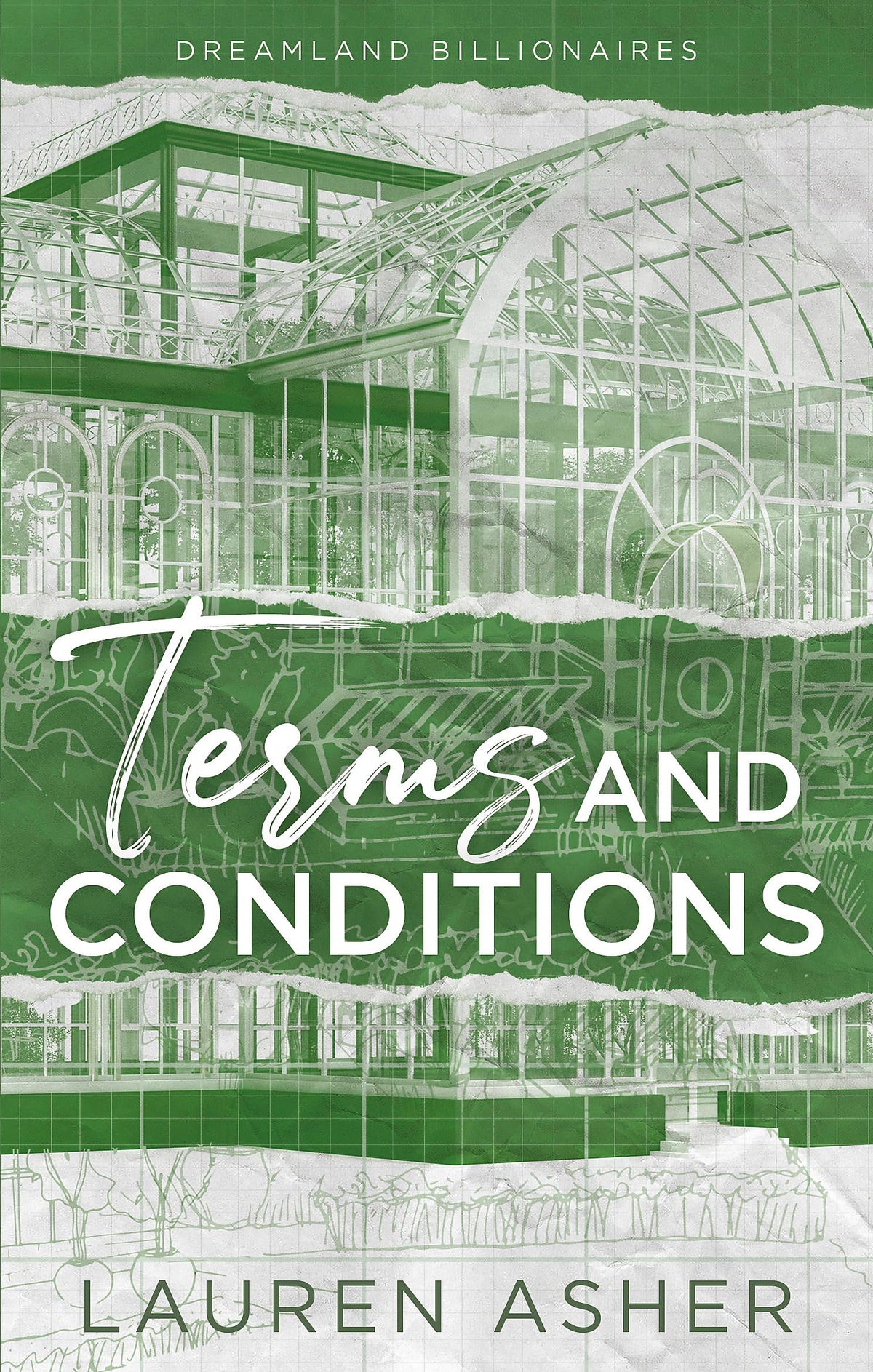 Terms And Conditions: The Tiktok Sensation! Meet The Dreamland Billionaires...-1