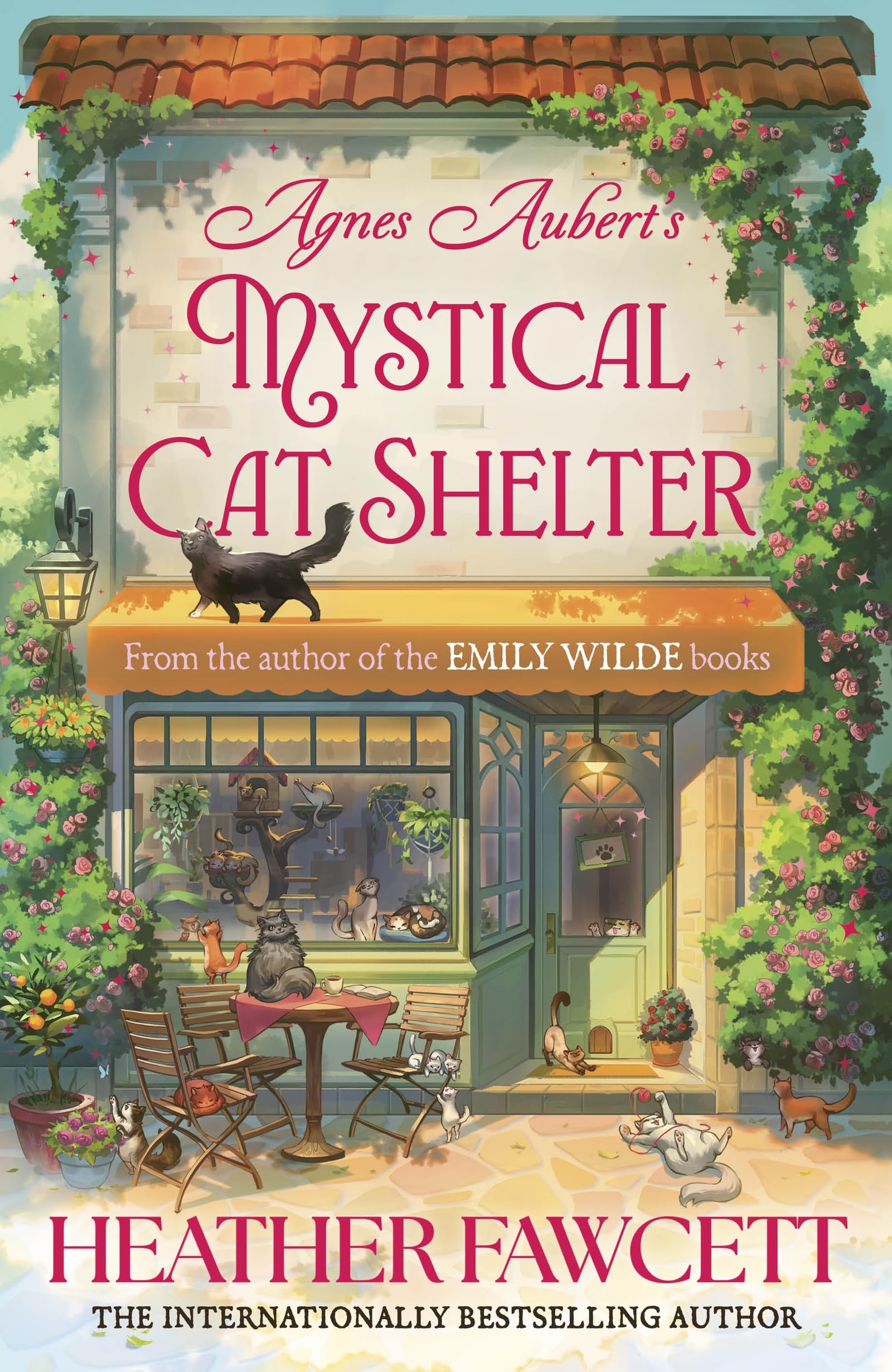Agnes Aubert's Mystical Cat Shelter: FROM THE BESTSELLING AUTHOR OF THE EMILY WILDE BOOKS-1