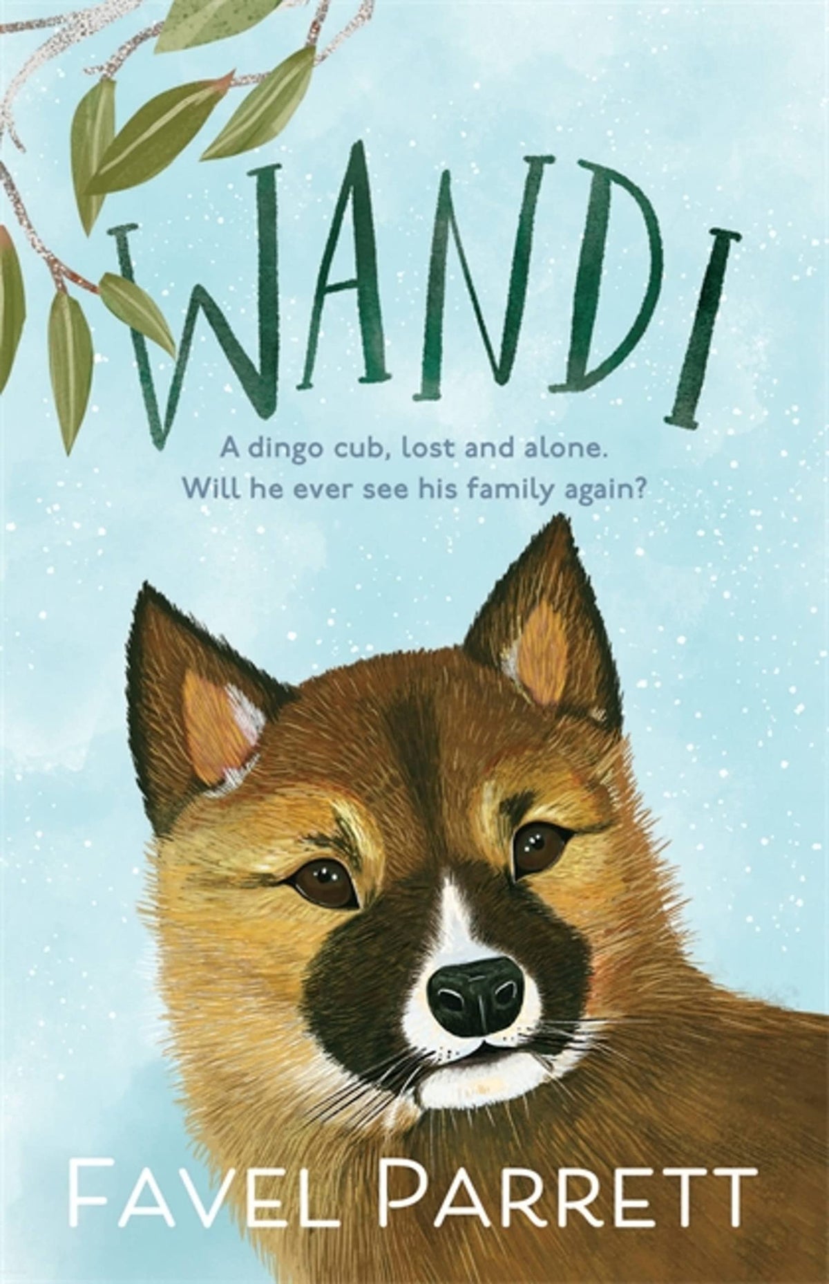 Wandi-1