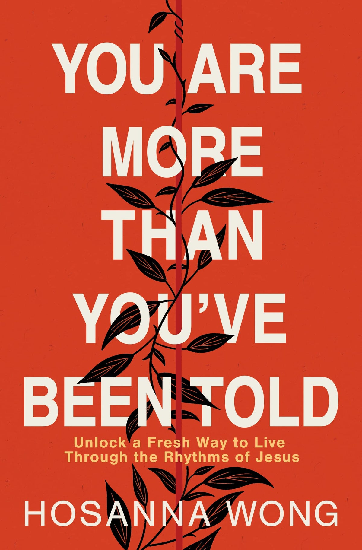 You Are More Than You've Been Told: Unlock a Fresh Way to Live Through the Rhythms of Jesus-1