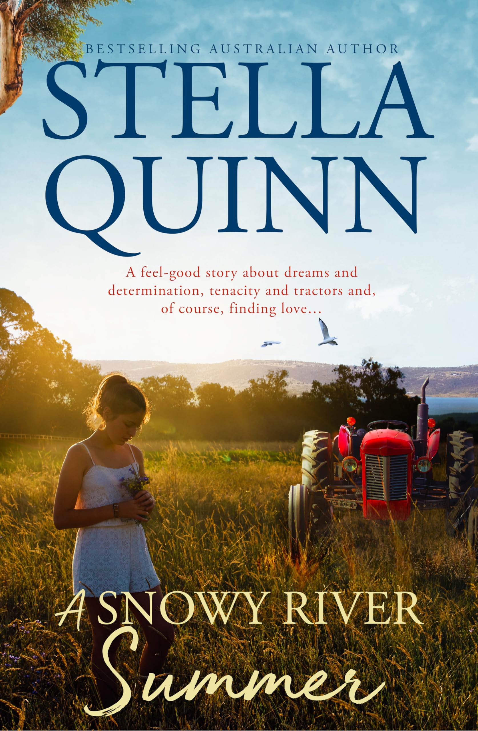 A Snowy River Summer: Fresh, funny and down-to-earth romance for 2025 from a new star of Australian rural romance. Perfect for readers of Rachael Johns and Alissa Callen.-1