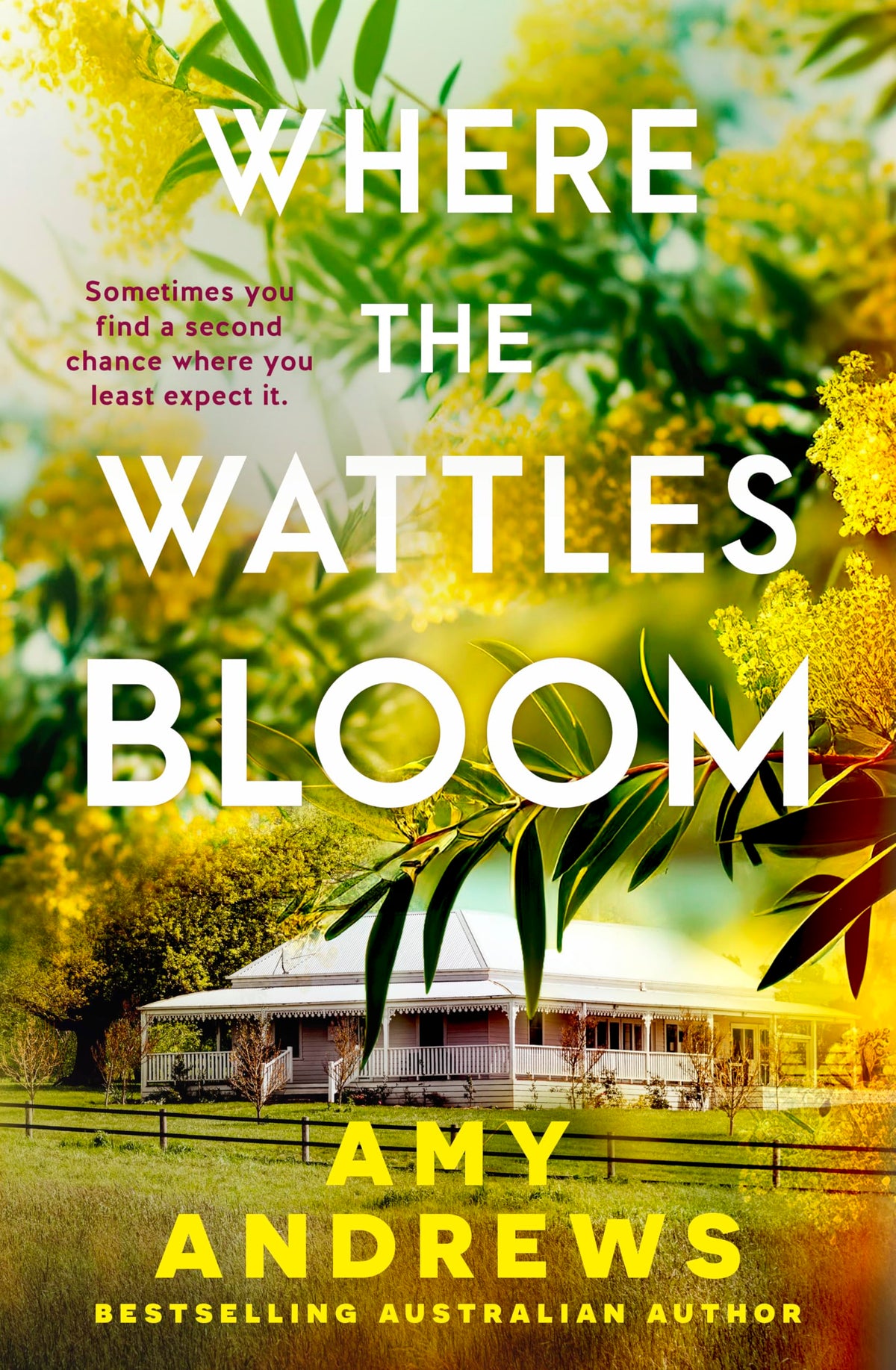 Where the Wattles Bloom: The heartwarming rural romance of 2026 from USA Today bestselling Australian author Amy Andrews-1