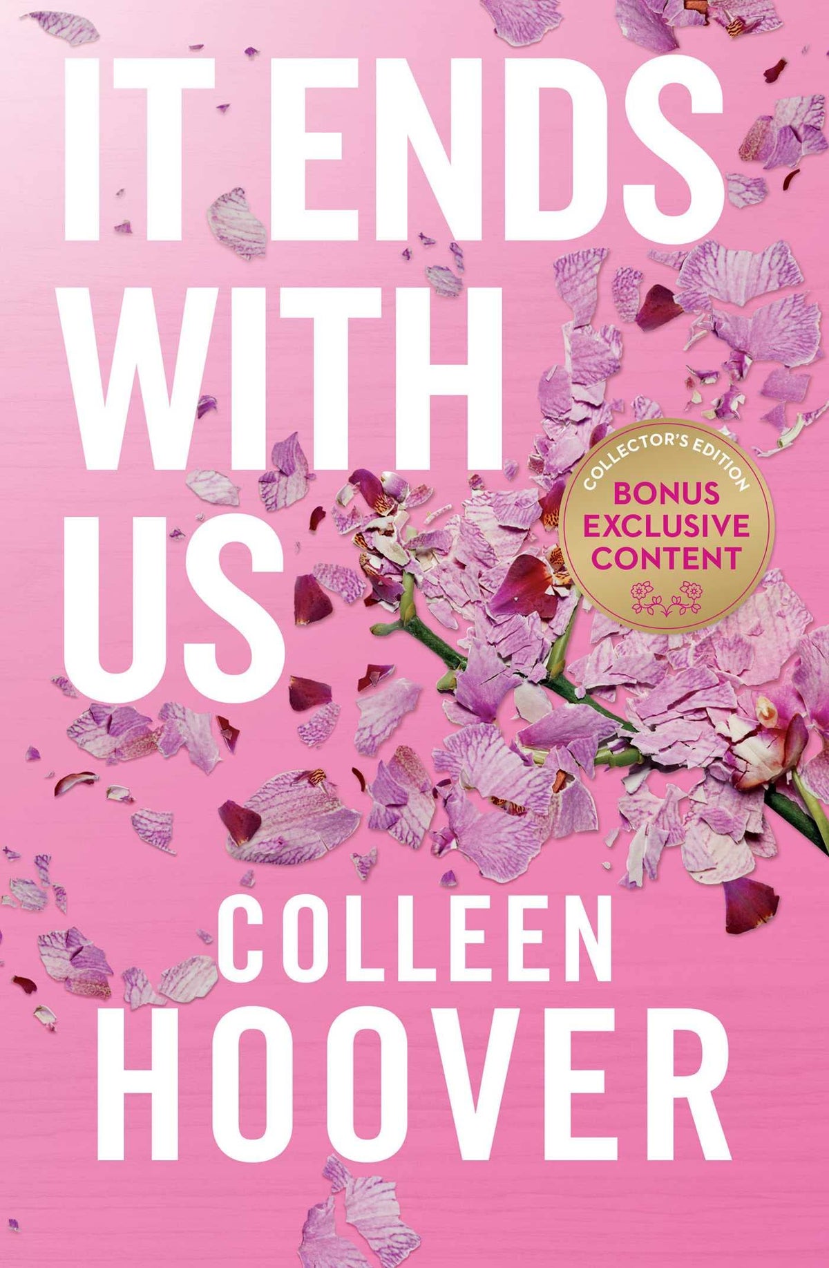 It Ends With Us - Special Edition: The emotional #1 Sunday Times bestseller. Now a major film starring Blake Lively and Justin Baldoni-1