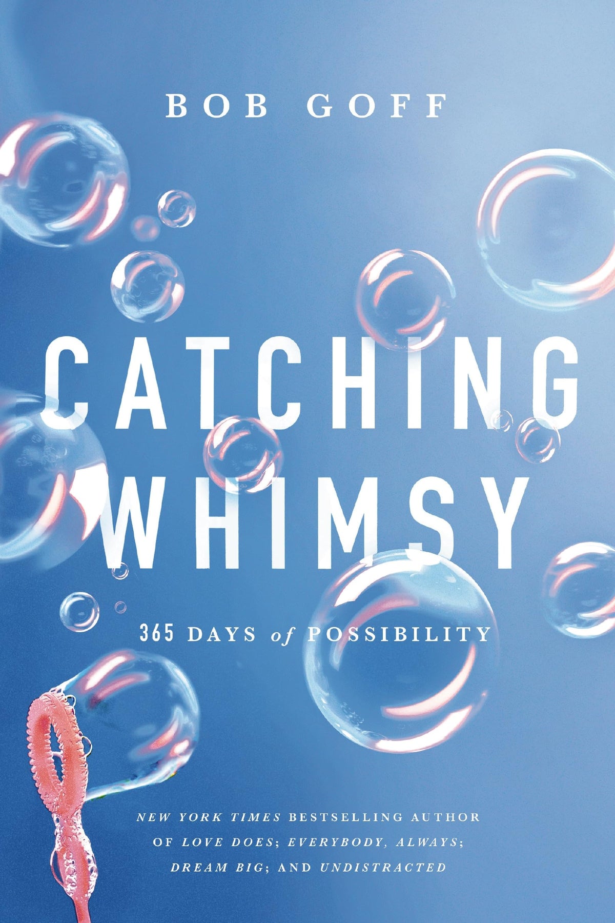 Catching Whimsy: 365 Days Of Possibility-1