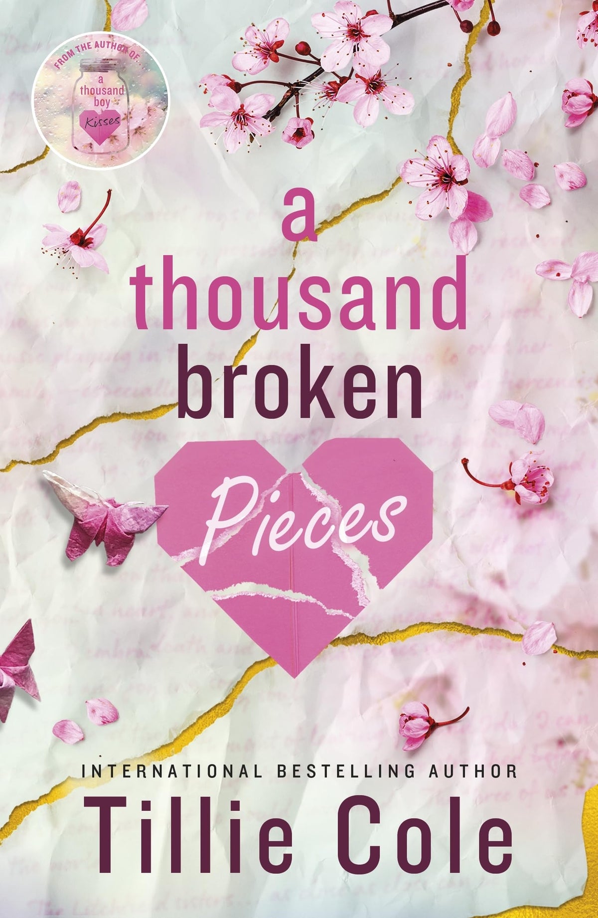 A Thousand Broken Pieces-1
