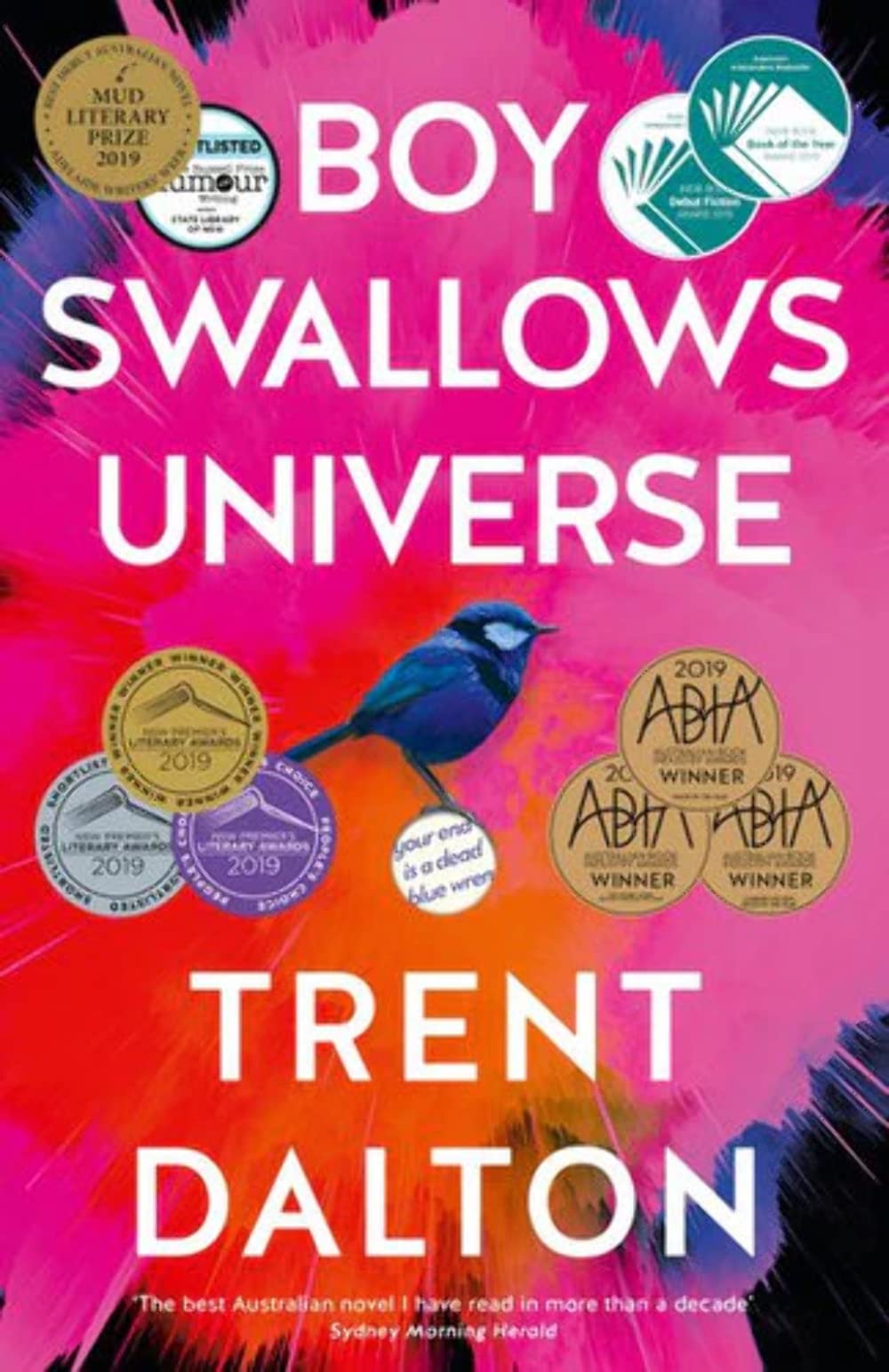 Boy Swallows Universe-1