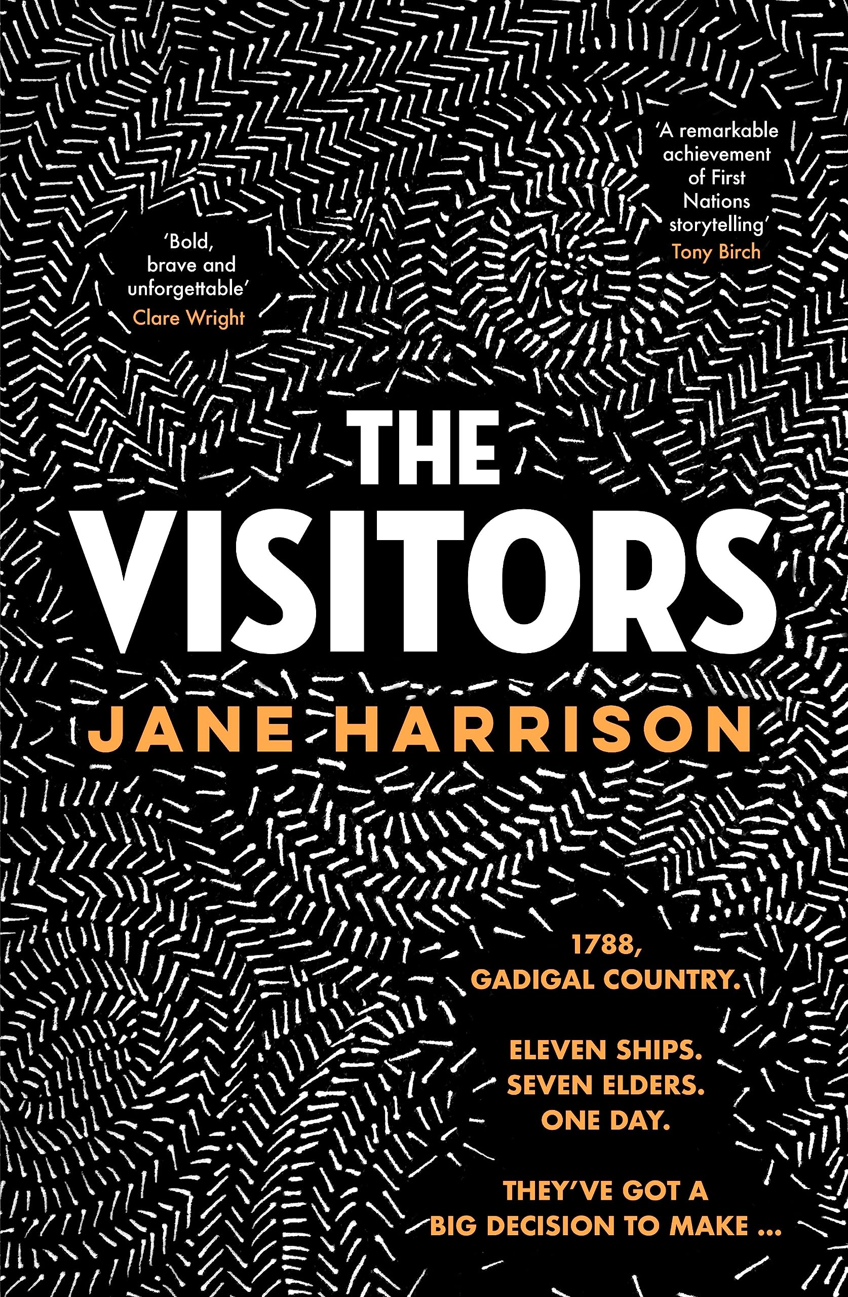 The Visitors: The remarkable debut novel from an award-winning author and playwright, for readers of Melissa Lucashenko, Shankari Chandran and Tara June Winch