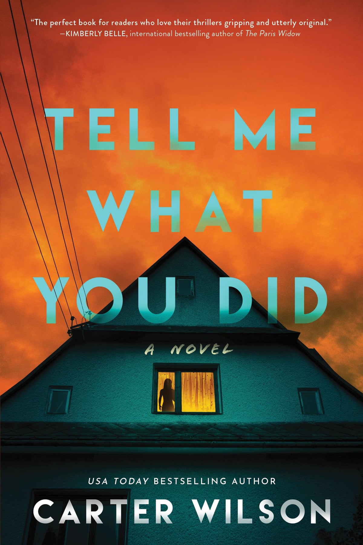 Tell Me What You Did: A Novel-1