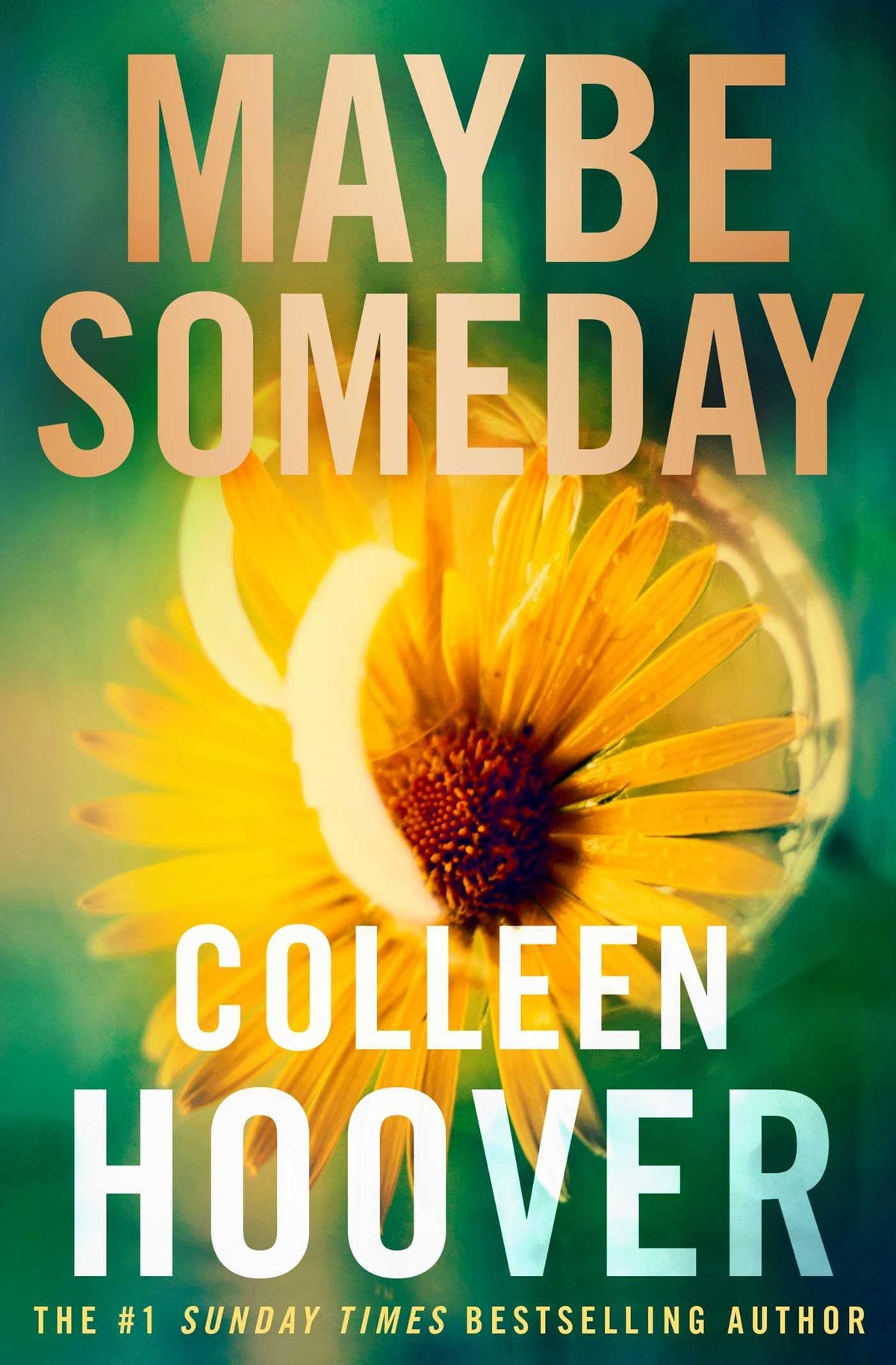 Maybe Someday: An emotional forbidden romance from the author of the global sensation VERITY