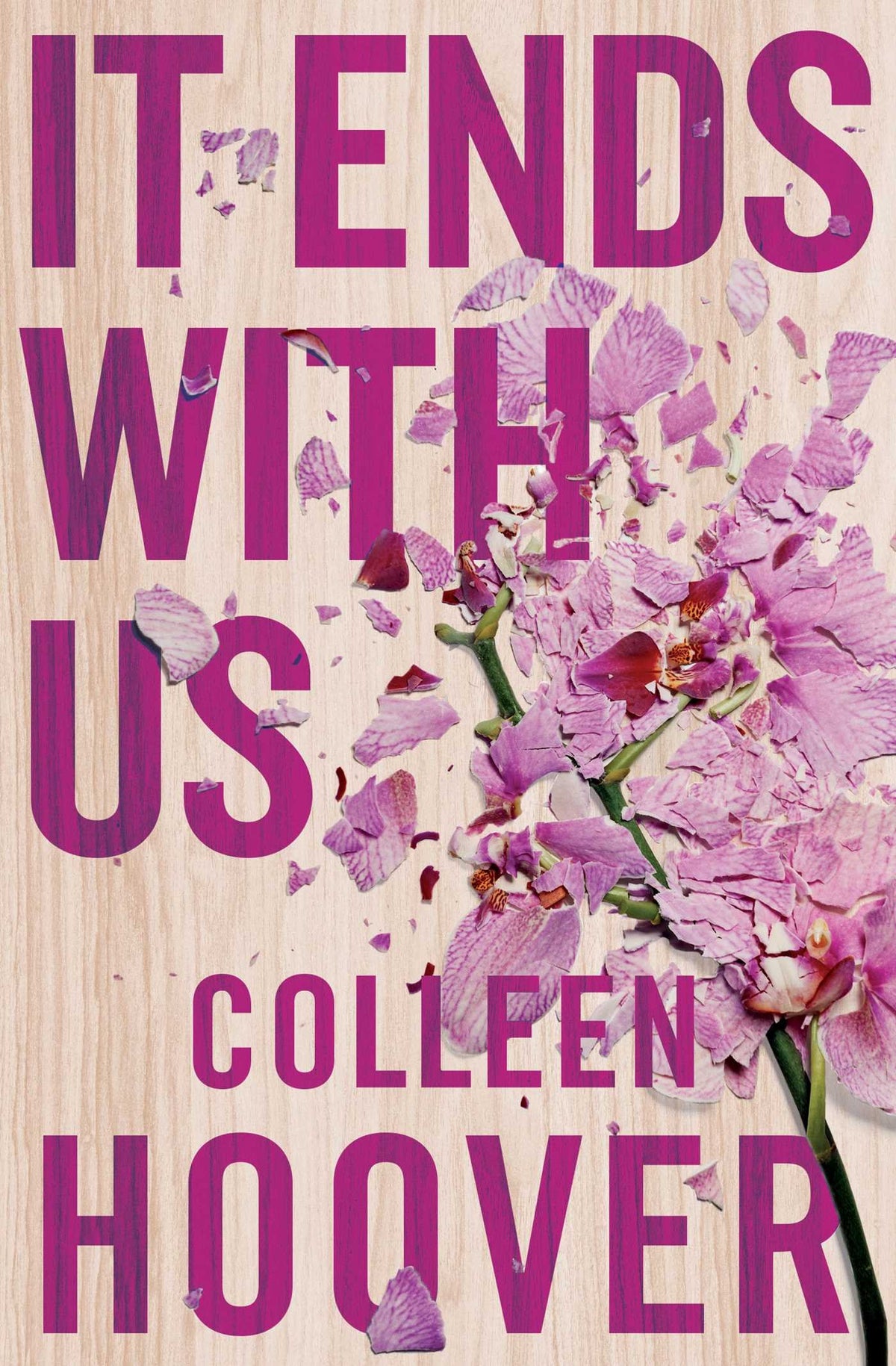 It Ends With Us-1