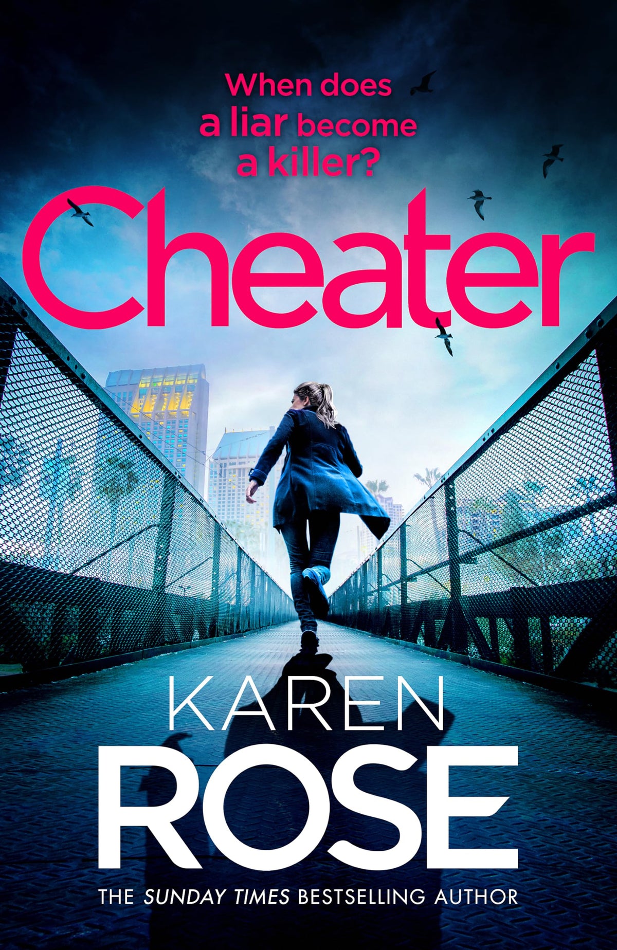 Cheater: the gripping new novel from the Sunday Times bestselling author-1