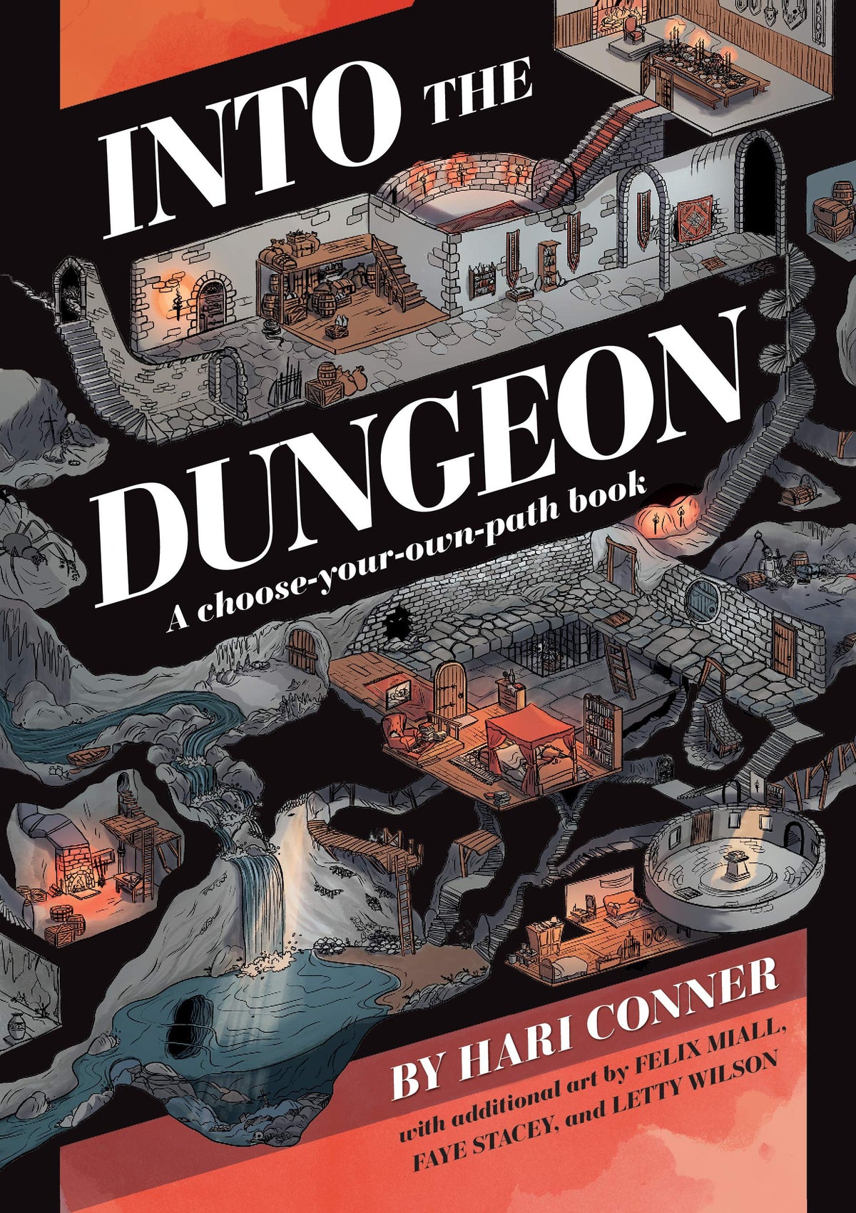 Into the Dungeon: A Choose-Your-Own-Path Book-1