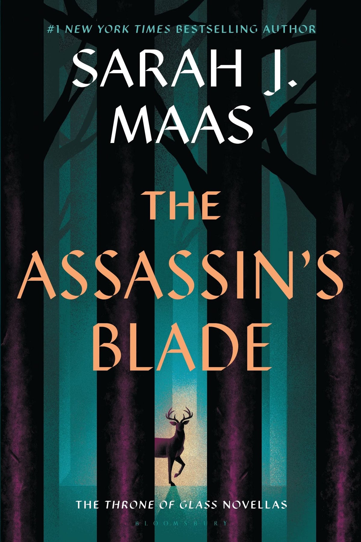 The Assassin's Blade: The Throne of Glass Prequel Novellas-1