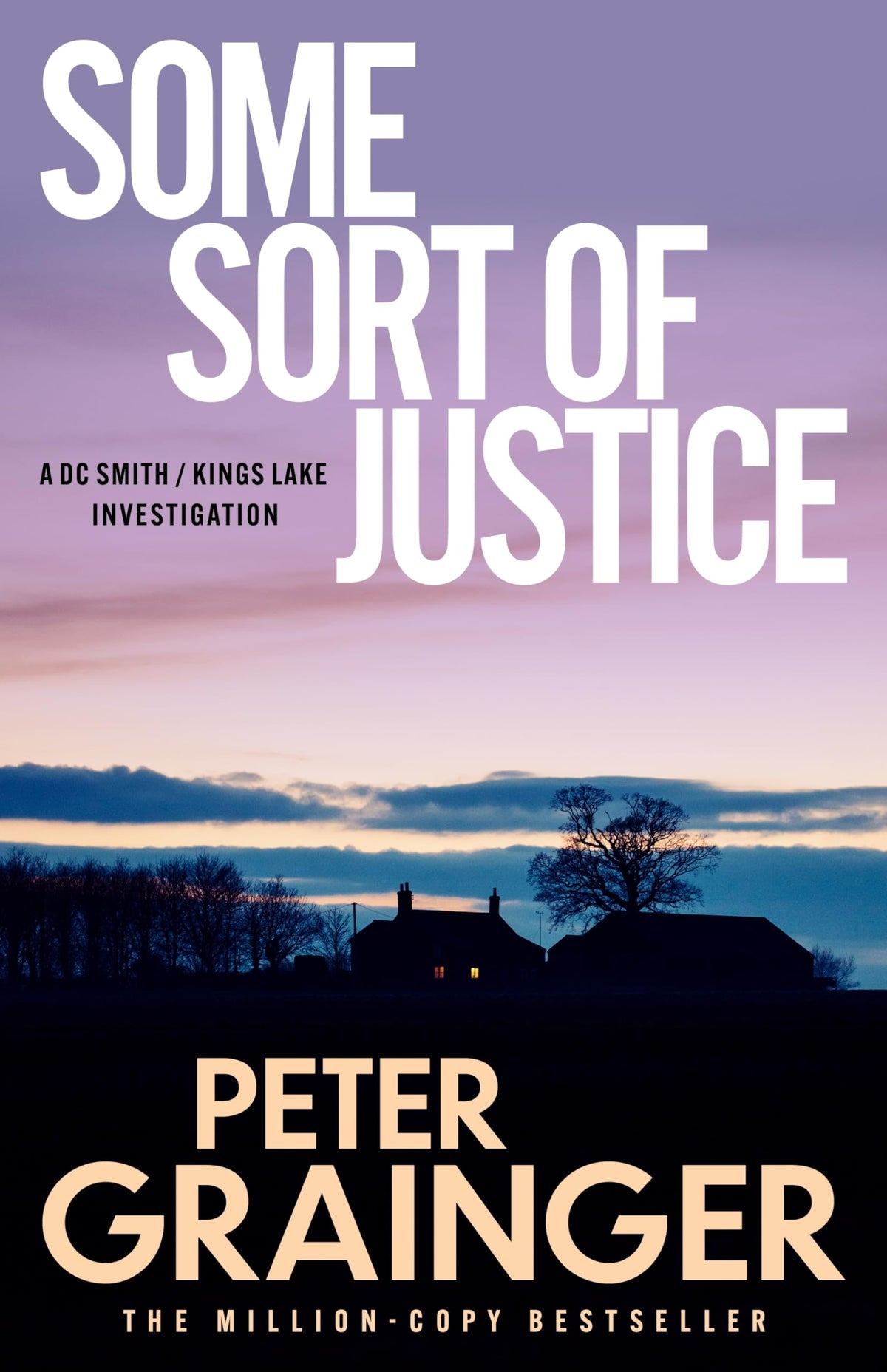 Some Sort of Justice: The gripping detective mystery from the million-copy-selling crime author