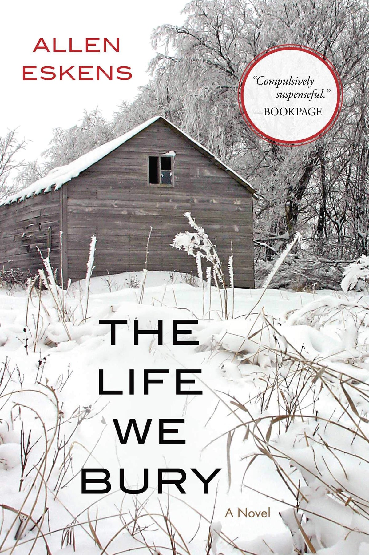 Life We Bury, The-1