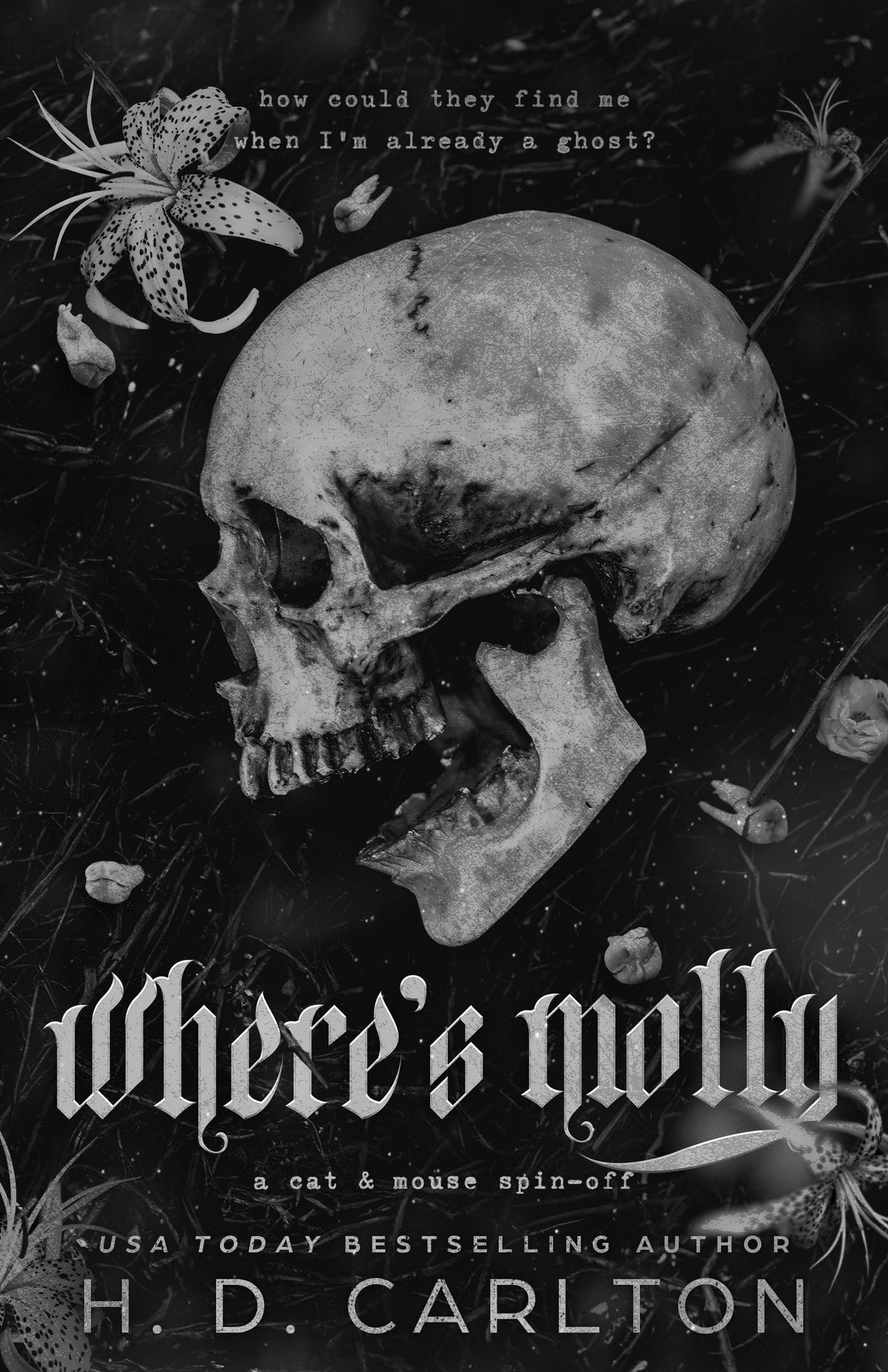 Where's Molly: A Cat & Mouse Spin-Off-1