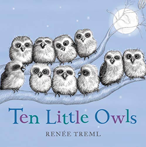 Ten Little Owls-1