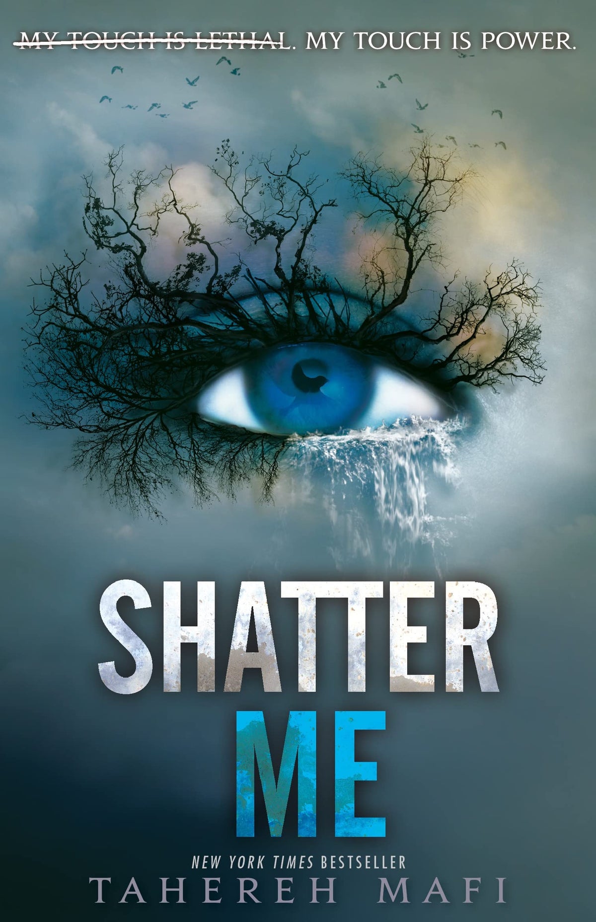 Shatter Me: Shatter Me series 1: TikTok Made Me Buy It!-1