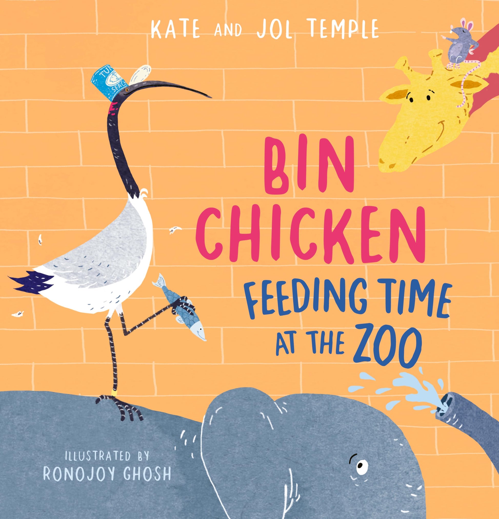 Bin Chicken Feeding Time at the Zoo-1