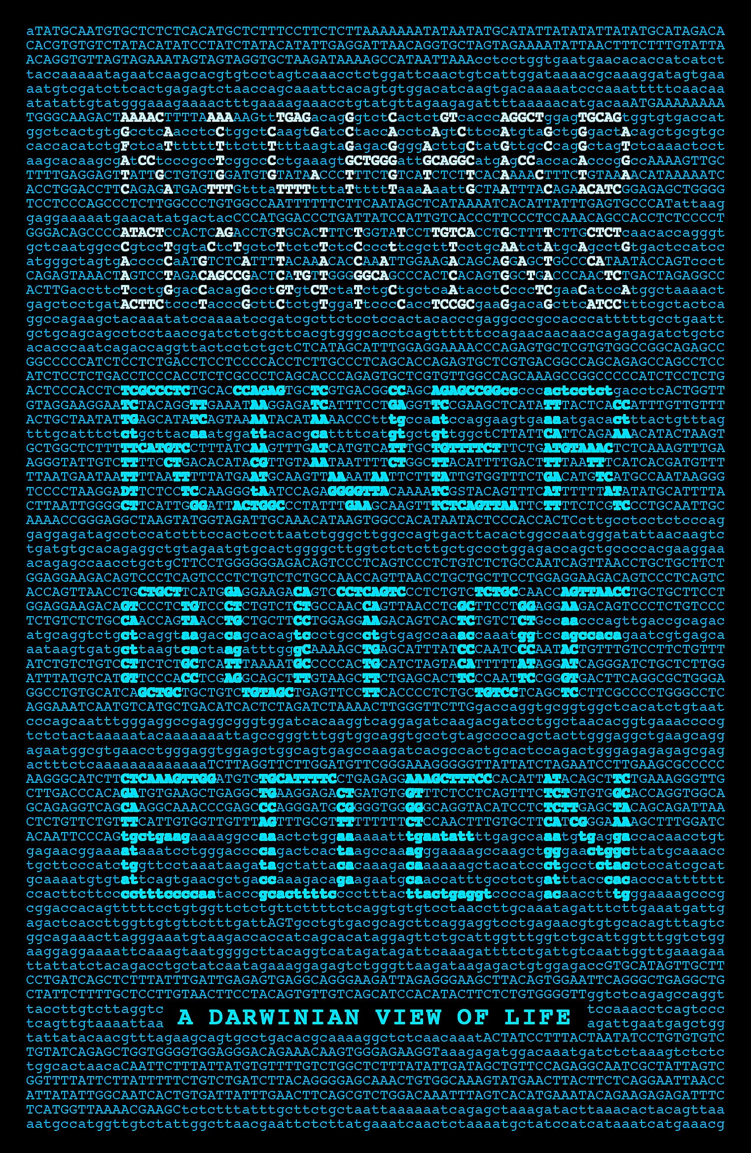 River Out of Eden: A Darwinian View of Life-1