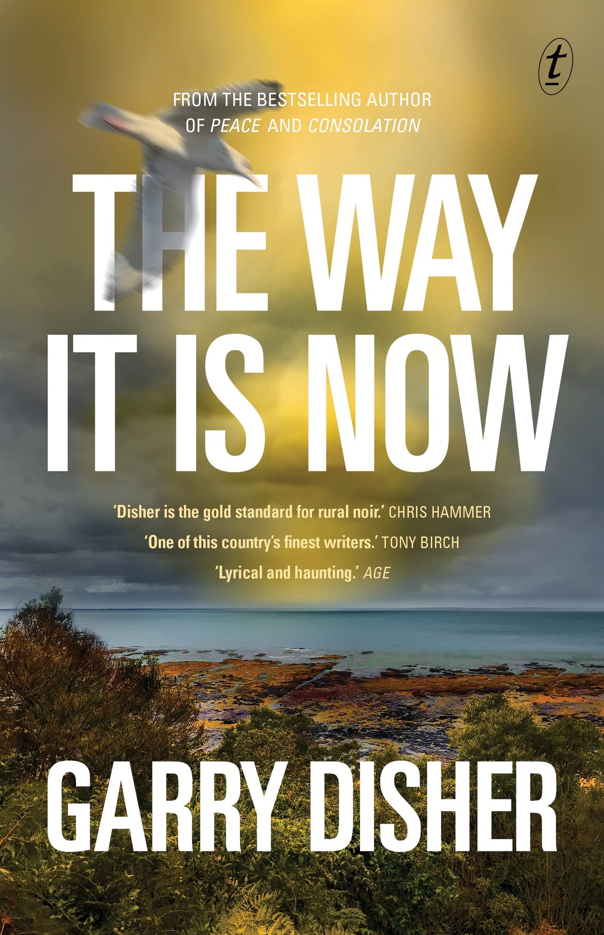 The Way It Is Now: From the international bestselling author of the Hirsch series-1