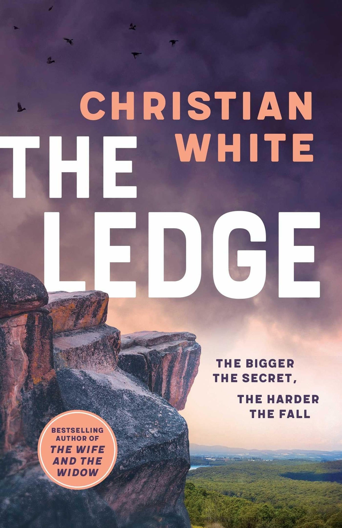 The Ledge: Christian White's Twistiest Thriller Yet-1