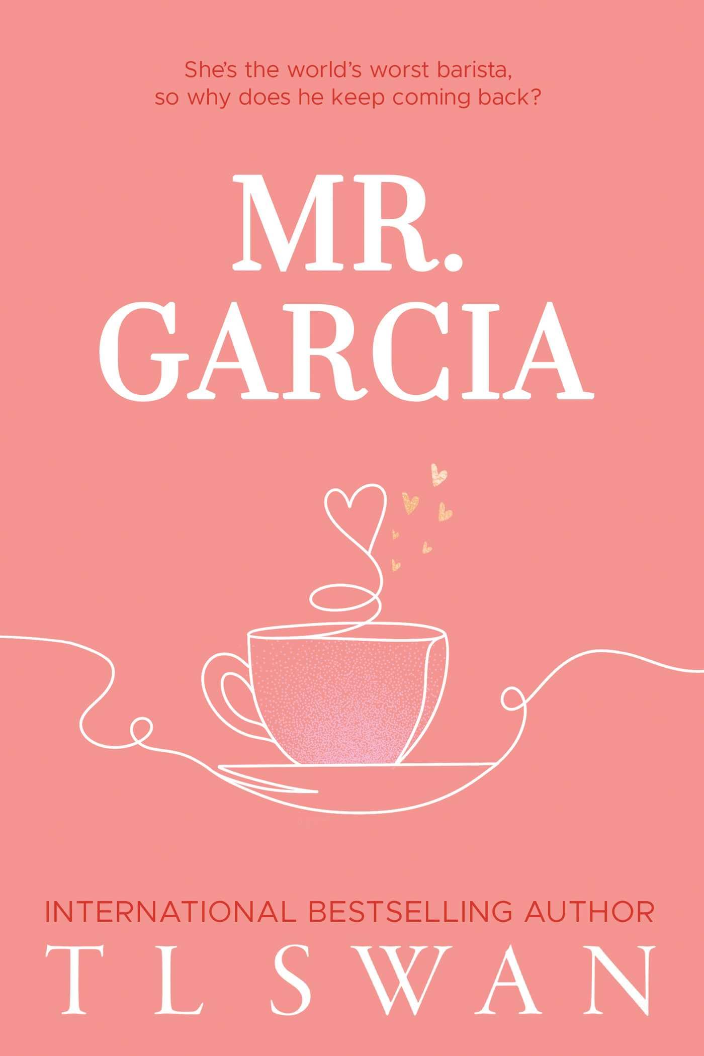 Mr. Garcia (Mr. Series Book 3-1