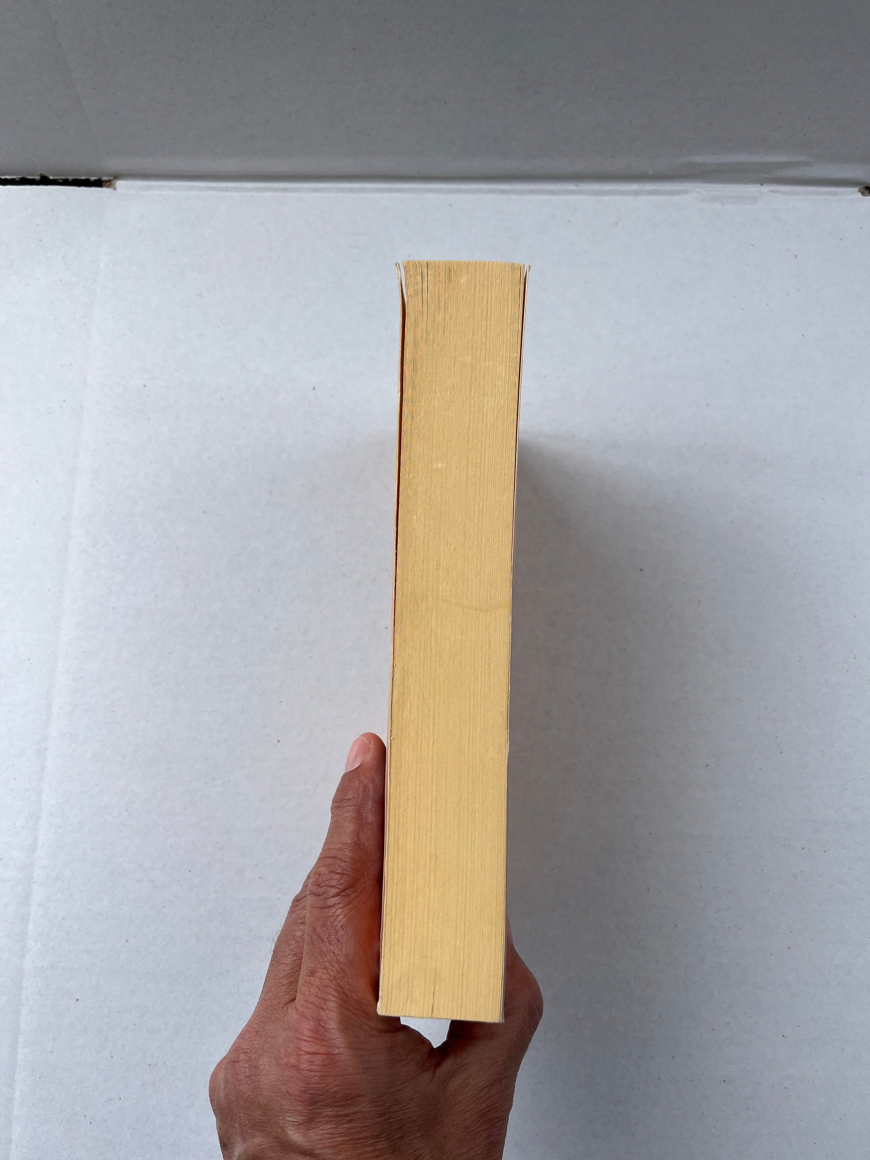 RODHAM by SITTENFELD  CURTIS